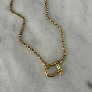 COPY - COPY - Gold Chunky Horse Bit Chain Necklace

Brand New
